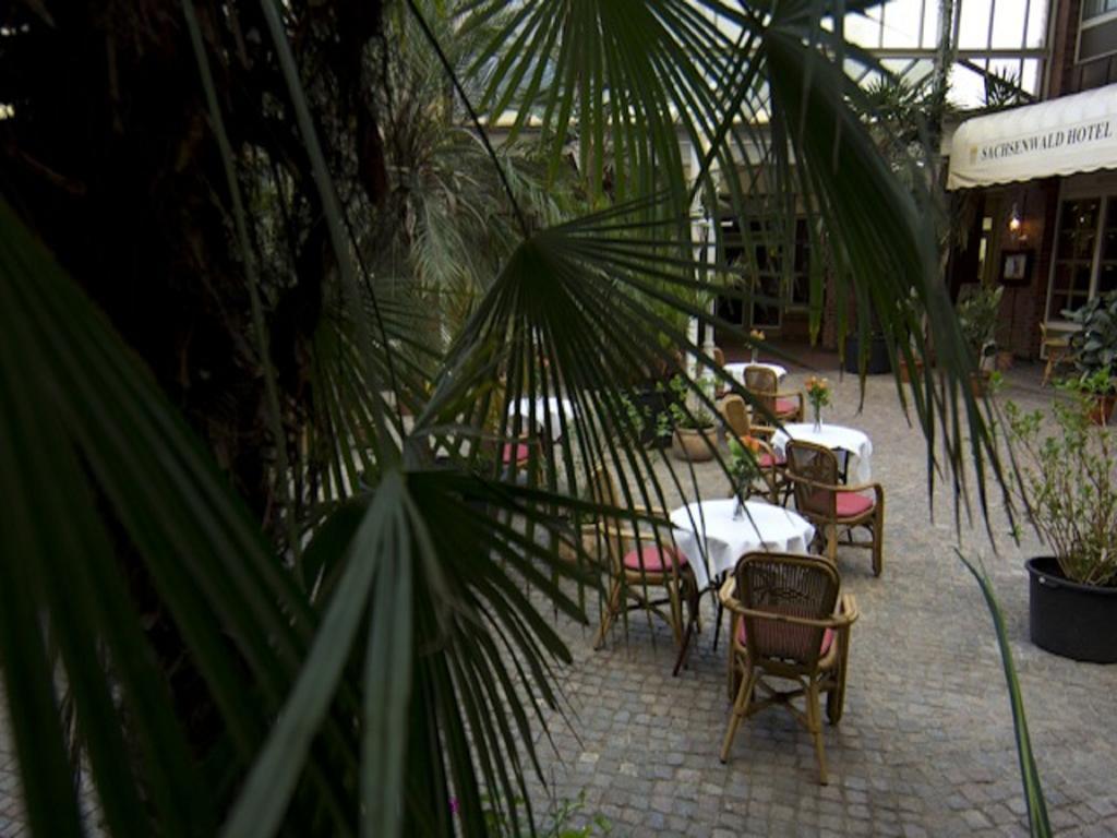 Sachsenwald Hotel Reinbek Luaran gambar